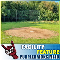 Purplebricks Field
