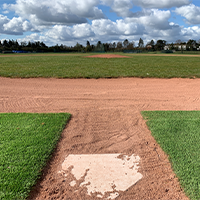Baseball Field at Farnham Park